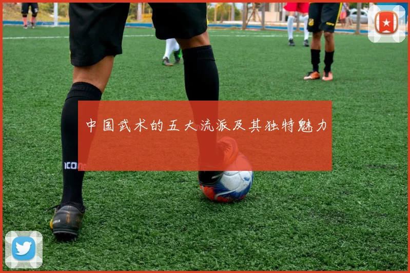 中国武术的五大流派及其独特魅力