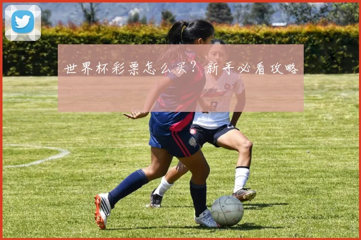 世界杯彩票怎么买？新手必看攻略