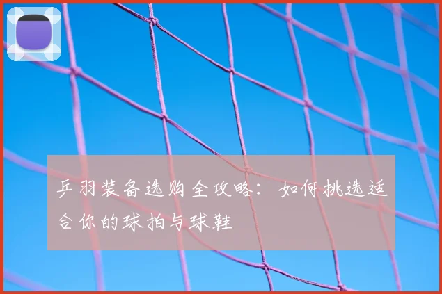 乒羽装备选购全攻略:如何挑选适合你的球拍与球鞋