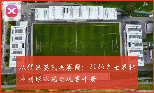 从预选赛到决赛圈:2026年世界杯非洲球队完全观赛手册