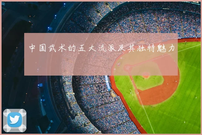 中国武术的五大流派及其独特魅力